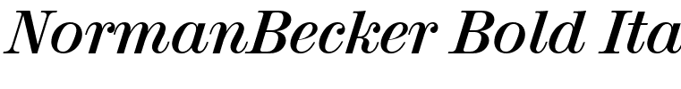 NormanBecker Bold Italic