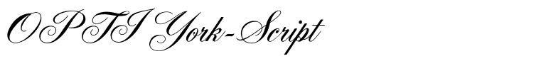 OPTIYork-Script