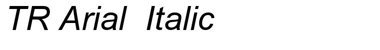 TR Arial  Italic