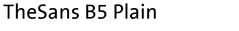 TheSans B5 Plain