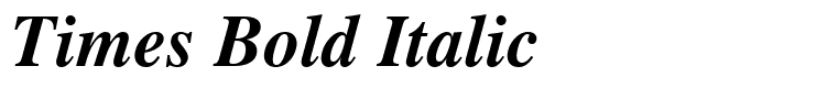 Times Bold Italic