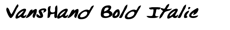 VansHand Bold Italic