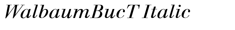 WalbaumBucT Italic