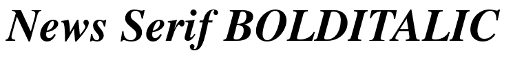 News Serif BOLDITALIC