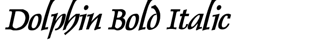 Dolphin Bold Italic