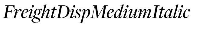 FreightDispMediumItalic