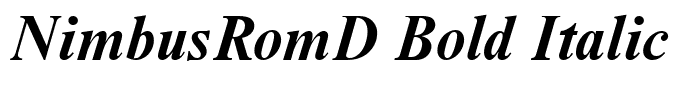 NimbusRomD Bold Italic