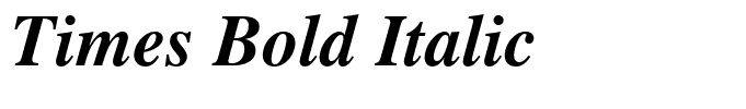 Times Bold Italic